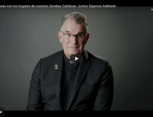 Las parroquias son los hogares de nuestras familias Católicas